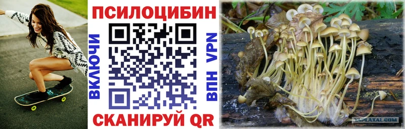 мега ССЫЛКА  где купить наркотик  Весьегонск  Галлюциногенные грибы мицелий 